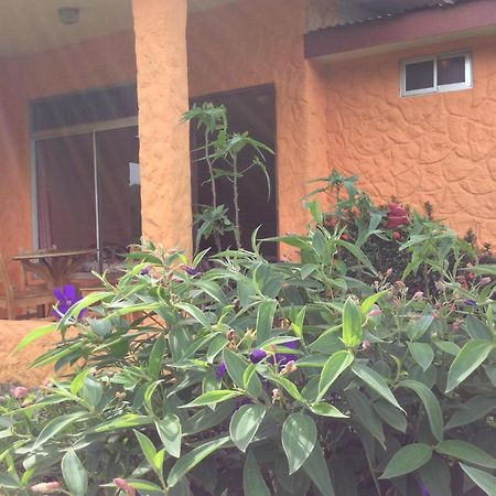Cabinas Los Guayabos Hotell La Fortuna Exteriör bild