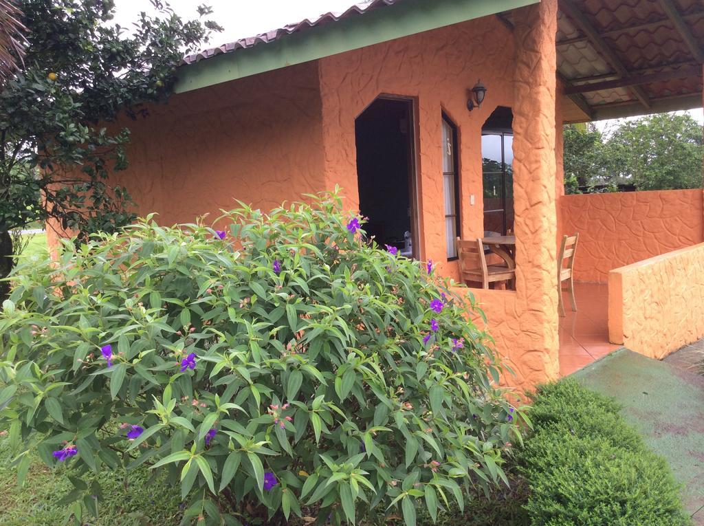 Cabinas Los Guayabos Hotell La Fortuna Rum bild