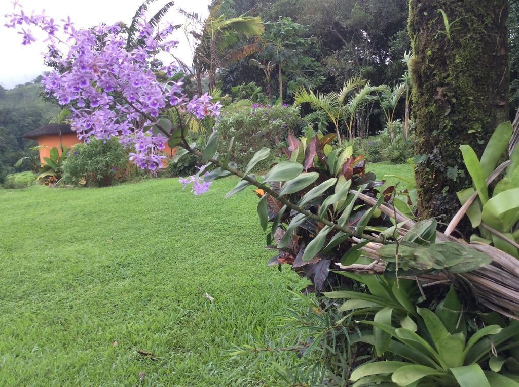 Cabinas Los Guayabos Hotell La Fortuna Exteriör bild