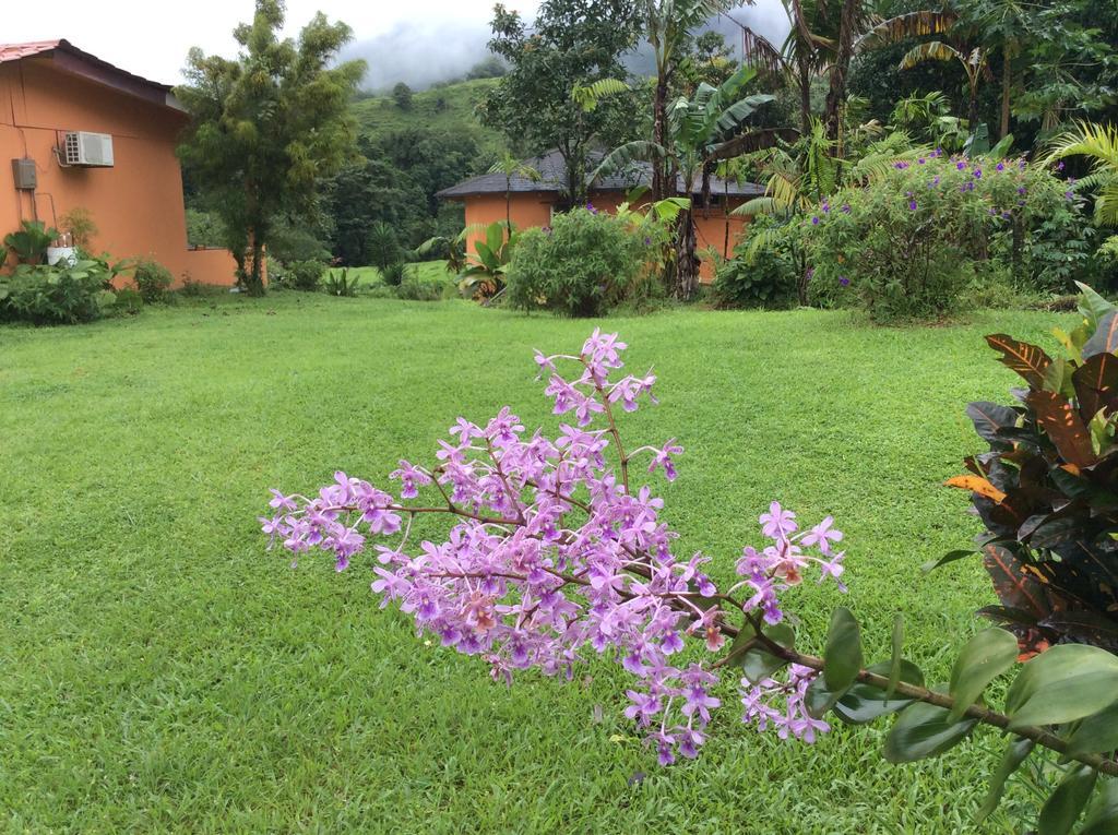 Cabinas Los Guayabos Hotell La Fortuna Exteriör bild