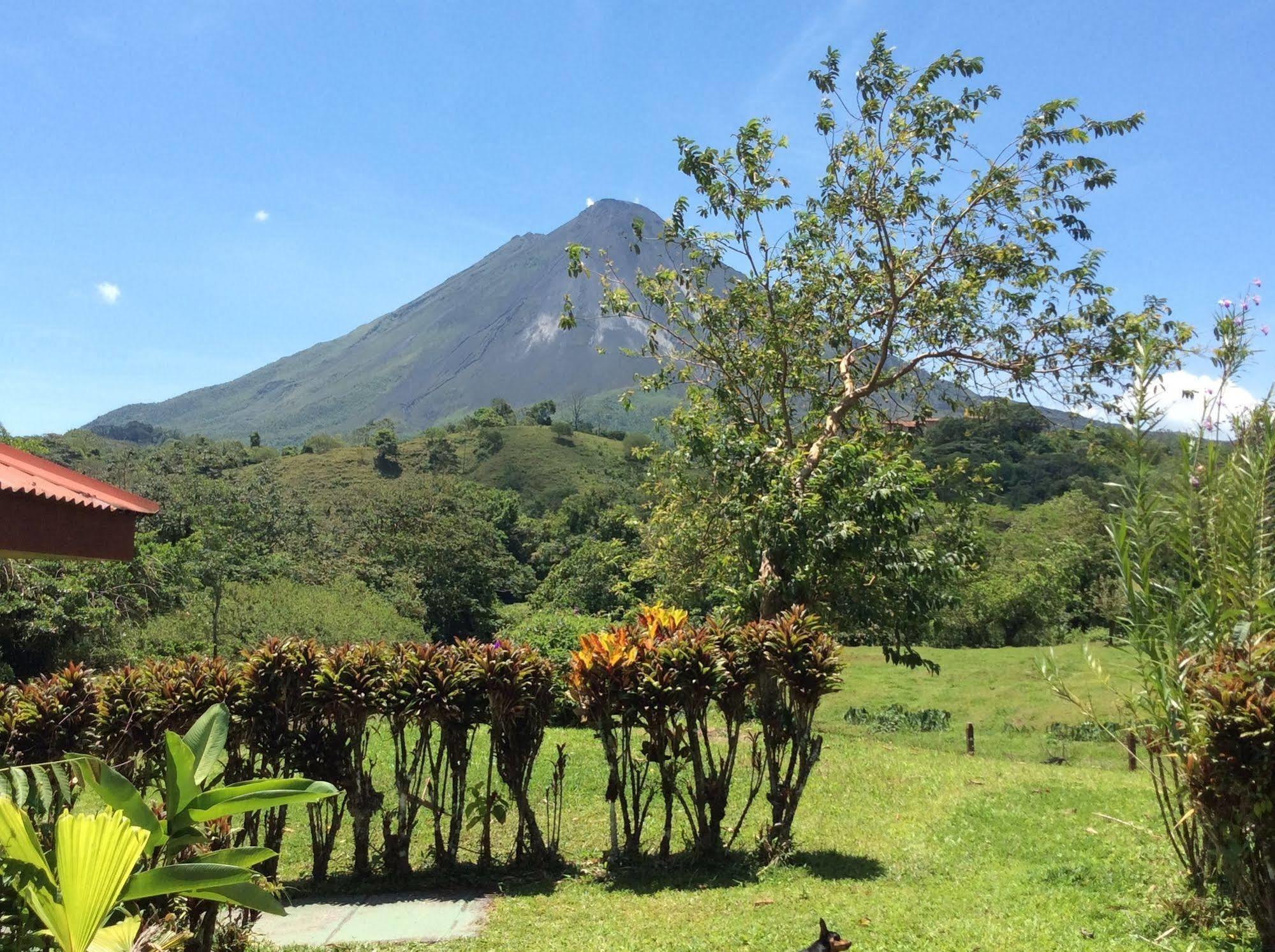 Cabinas Los Guayabos Hotell La Fortuna Exteriör bild